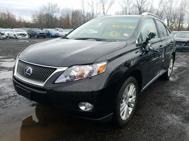 2011 LEXUS RX 450 JTJBC1BA8B2044344