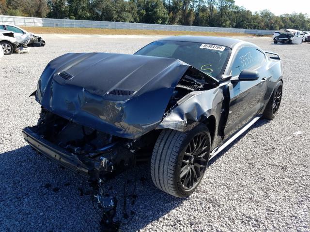 2019 FORD MUSTANG GT 1FA6P8CF7K5129496