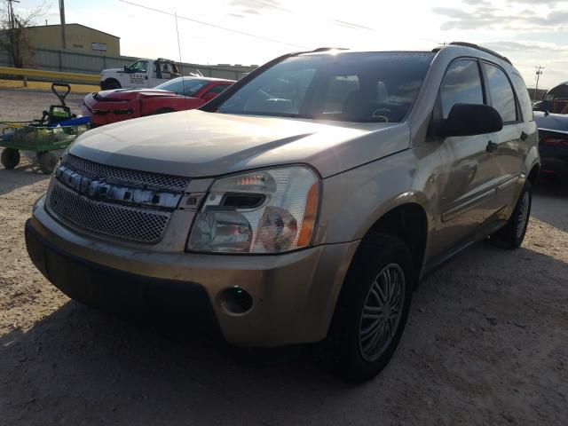 2CNDL13F666196732 Chevrolet Equinox Ls 2006. Фото: 1