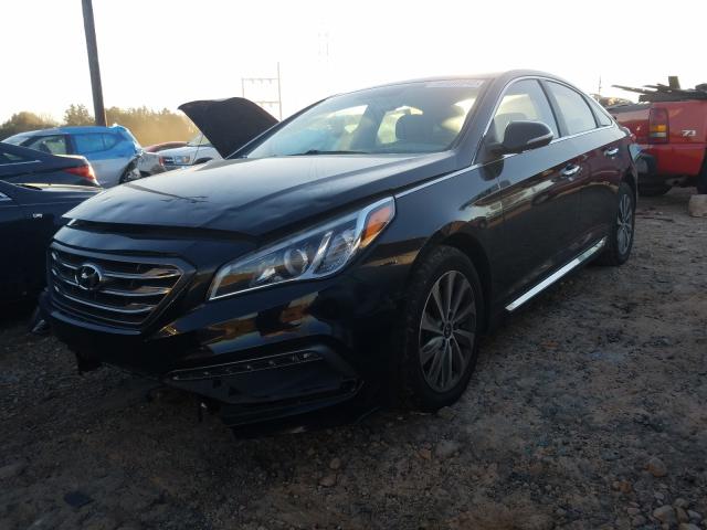 2016 HYUNDAI SONATA SPO 5NPE34AF0GH311318