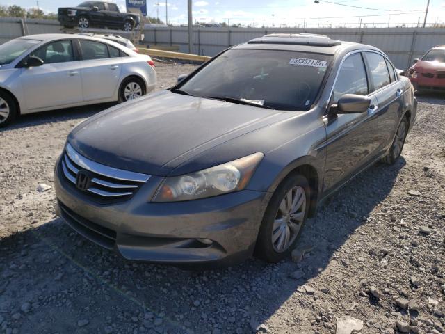2011 HONDA ACCORD EXL 5KBCP3F83BB001155