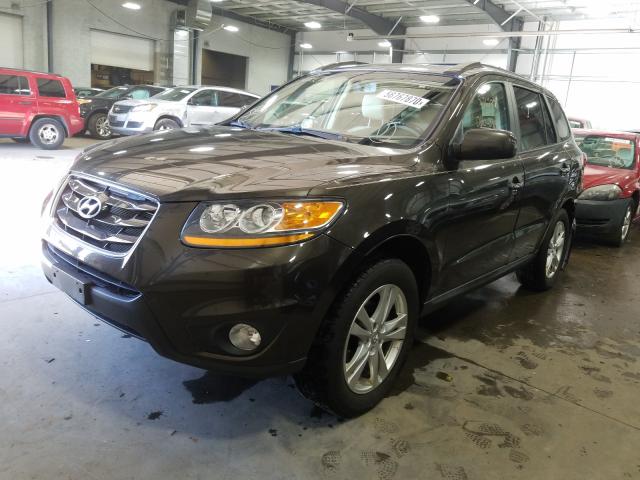 2011 HYUNDAI SANTA FE L 5XYZKDAG3BG079990