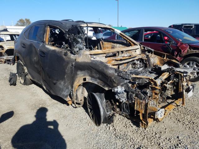 2019 LEXUS NX 300H - JTJBJRBZ9K2097516
