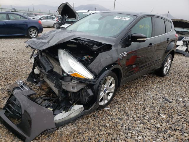 2013 FORD ESCAPE SEL 1FMCU9H95DUA17265