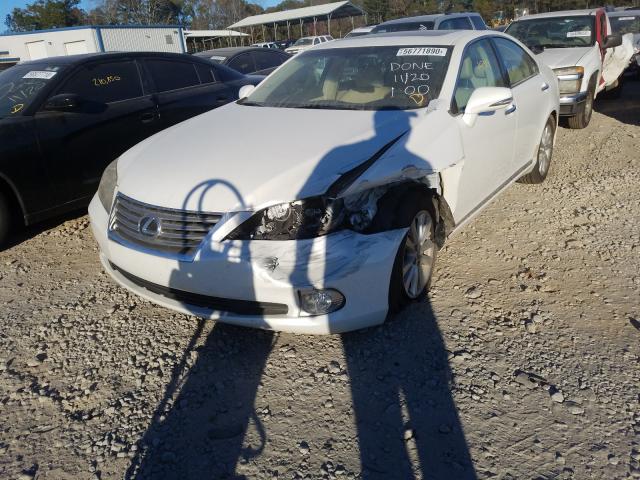2010 LEXUS ES 350 JTHBK1EG6A2392923