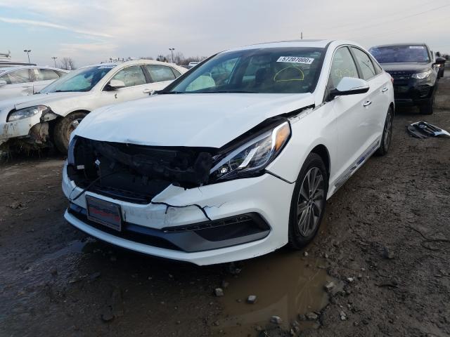2017 HYUNDAI SONATA SPO 5NPE34AF9HH515035