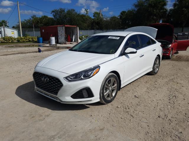 2019 HYUNDAI SONATA LIM 5NPE34AF5KH795298