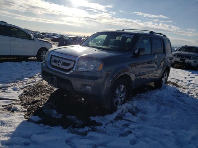 2011 HONDA PILOT EXL 5FNYF4H56BB005717