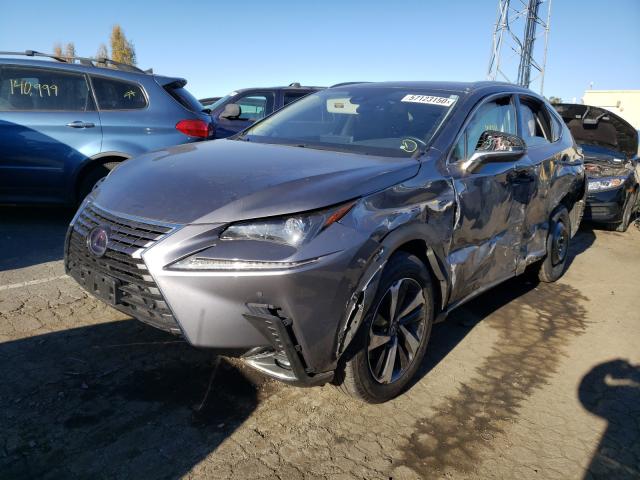 2020 LEXUS NX 300H JTJGJRDZ4L2126022