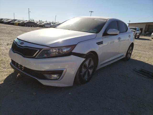 2013 KIA OPTIMA HYB KNAGM4AD8D5059945