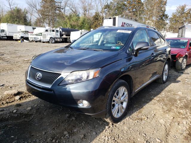 2010 LEXUS RX 450 JTJBC1BA4A2402036