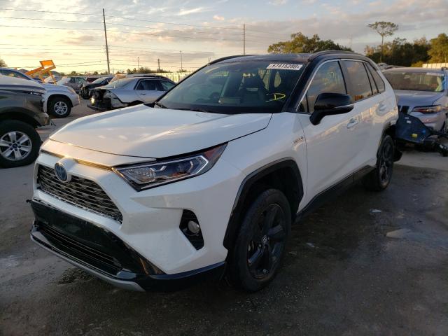 2019 TOYOTA RAV4 XSE 2T3EWRFV4KW041662