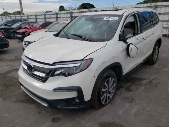 2019 HONDA PILOT EXL 5FNYF6H5XKB085504