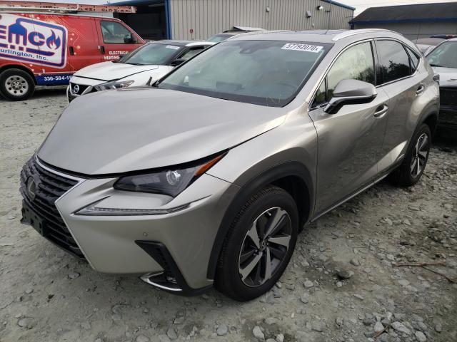 2019 LEXUS NX 300H JTJBJRBZ2K2113877