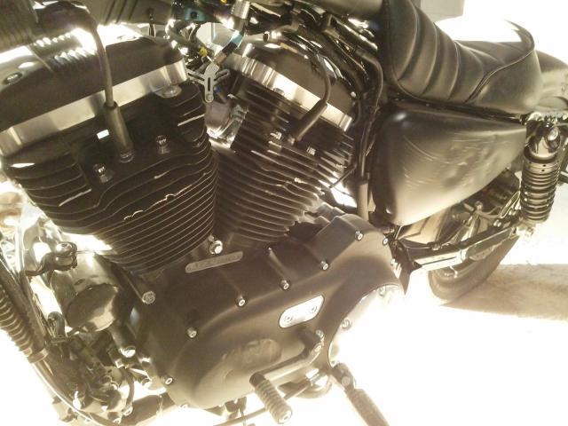 2020 HARLEY-DAVIDSON XL883 N 1HD4LE219LB427776