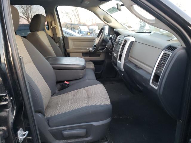 2010 DODGE RAM 1500 1D7RB1GP2AS101482