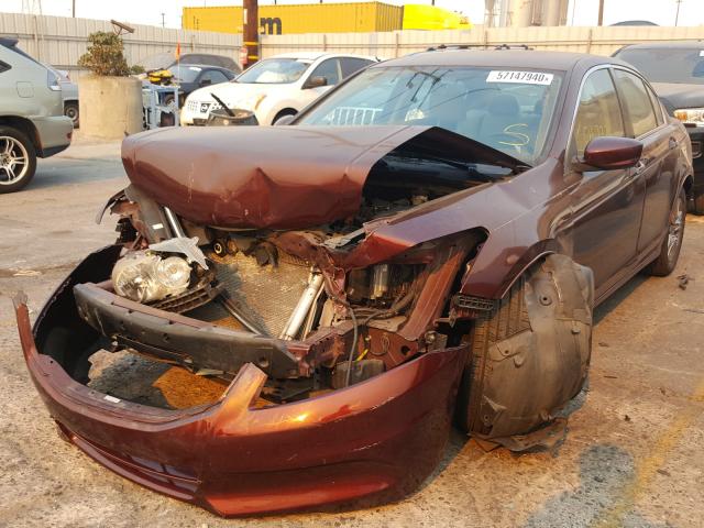 2011 HONDA ACCORD LXP 1HGCP2F48BA040288