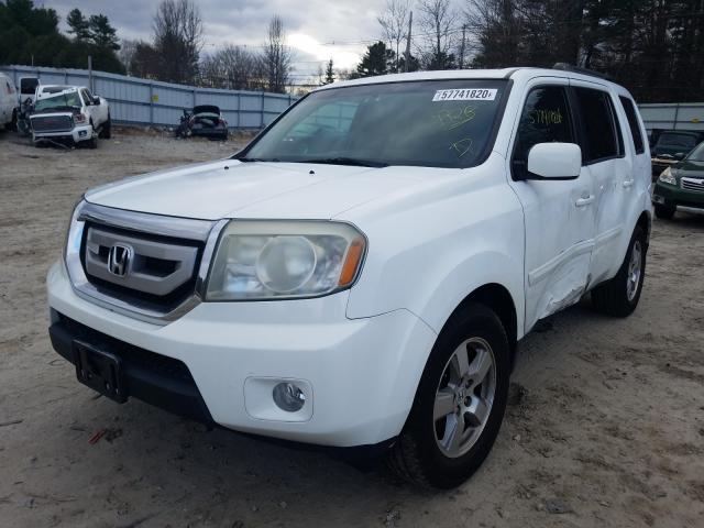 2011 HONDA PILOT EXL 5FNYF3H55BB014824