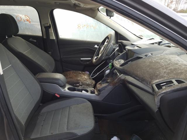 2013 FORD ESCAPE 1FMCU0G97DUA98167