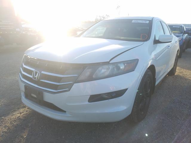 2010 HONDA ACCORD CRO 5J6TF2H5XAL015039