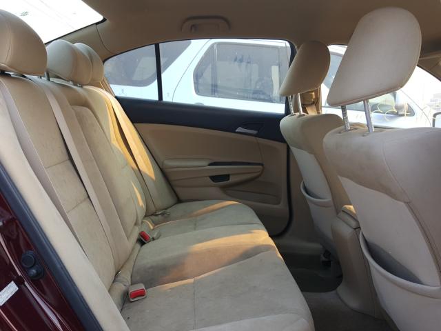 2011 HONDA ACCORD LXP 1HGCP2F48BA040288