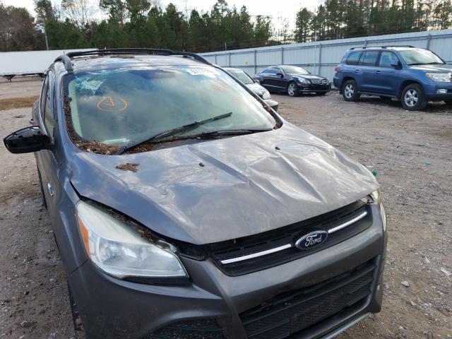 2013 FORD ESCAPE 1FMCU0G97DUA98167