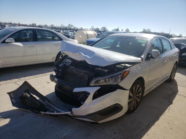 2015 HYUNDAI SONATA SPO 5NPE34AF7FH136726