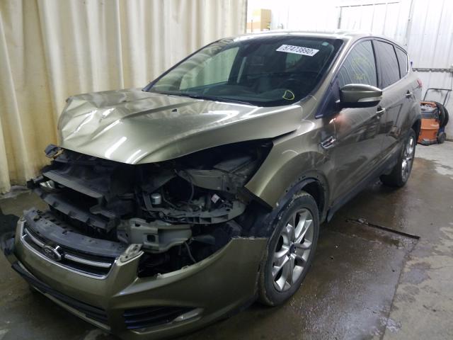 2013 FORD ESCAPE SEL 1FMCU9H91DUB86134