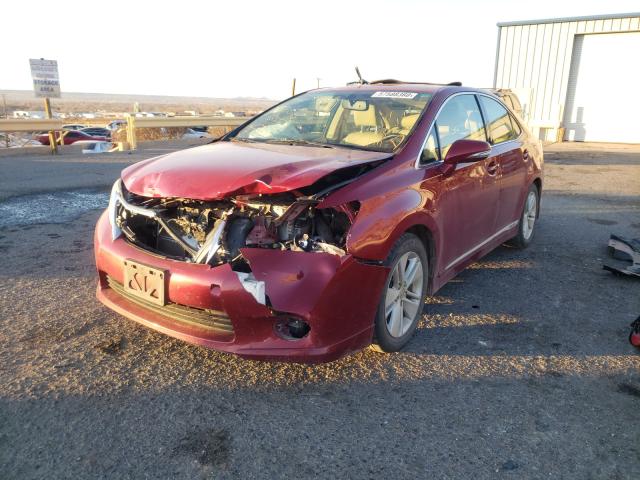 2010 LEXUS HS 250H JTHBB1BA0A2028853