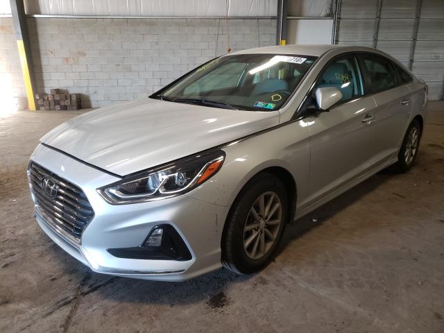 2019 HYUNDAI SONATA GL 5NPE24AF1KH817297