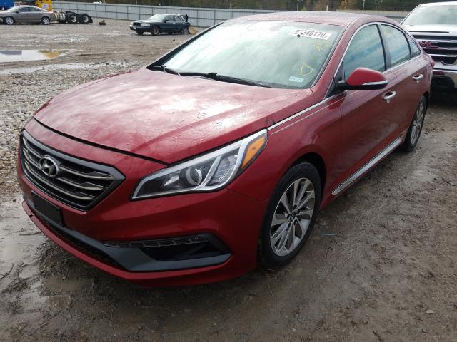 2016 HYUNDAI SONATA SPO 5NPE34AF6GH399243