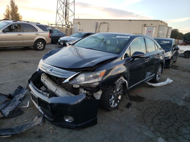 2010 LEXUS HS 250H JTHBB1BA0A2026942