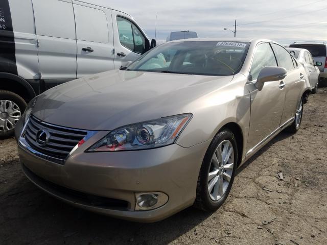 2010 LEXUS ES 350 JTHBK1EG1A2392022