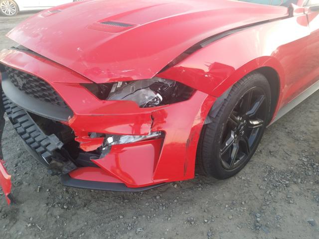 2019 FORD MUSTANG - 1FA6P8TH7K5169644