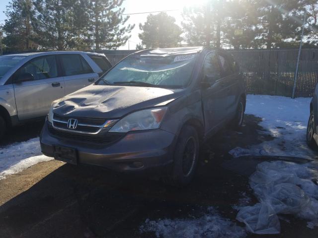 2011 HONDA CR-V SE 5J6RE3H44BL019227