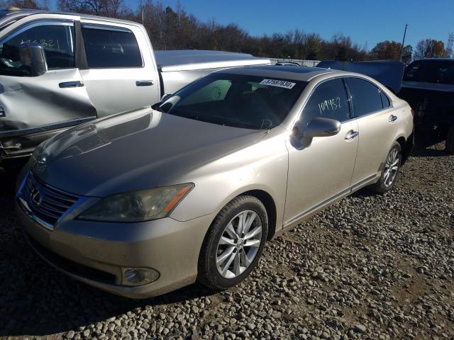 2010 LEXUS ES 350 JTHBK1EG8A2386203