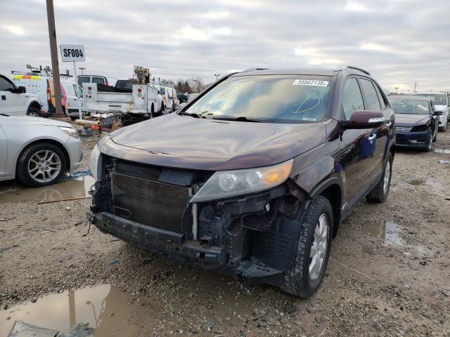 2012 KIA SORENTO BA 5XYKTDA66CG192338