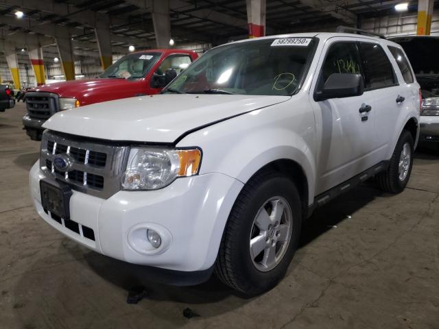 2011 FORD ESCAPE XLT 1FMCU9D79BKC12430