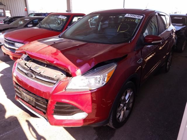 2013 FORD ESCAPE SEL 1FMCU0HX9DUA88186
