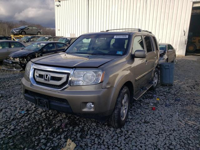 2011 HONDA PILOT EXL 5FNYF4H52BB085002