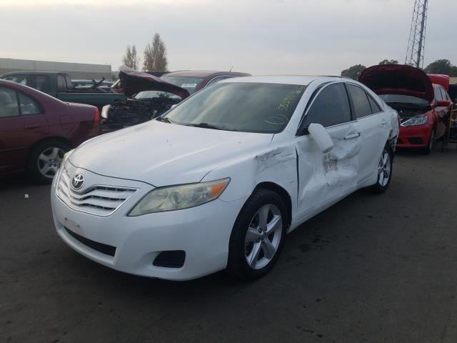 2010 TOYOTA CAMRY BASE - 4T1BF3EK1AU560442