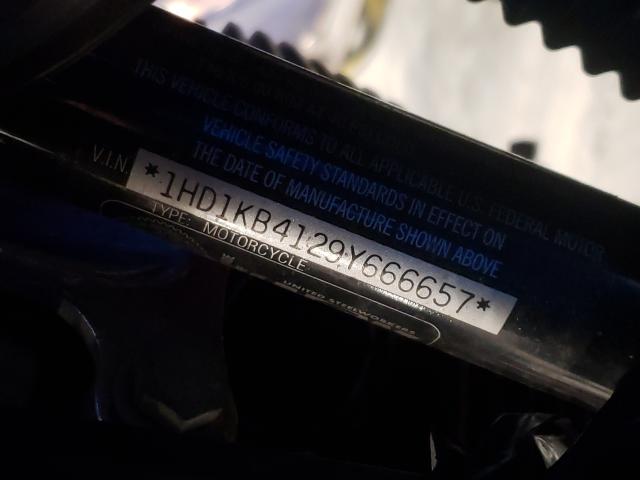 2009 HARLEY-DAVIDSON FLHX 1HD1KB4129Y666657