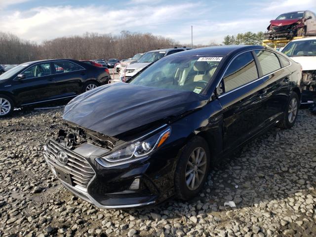 2019 HYUNDAI SONATA 5NPE24AF2KH753447