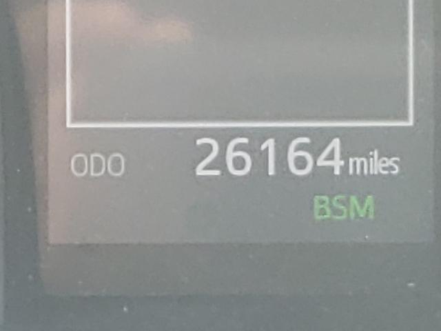 2019 TOYOTA CAMRY 4T1B11HKXKU725713