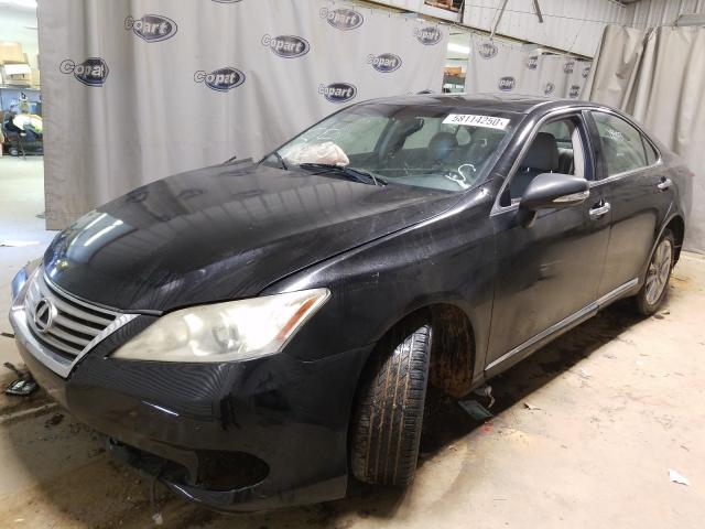 2010 LEXUS ES 350 JTHBK1EG5A2363770