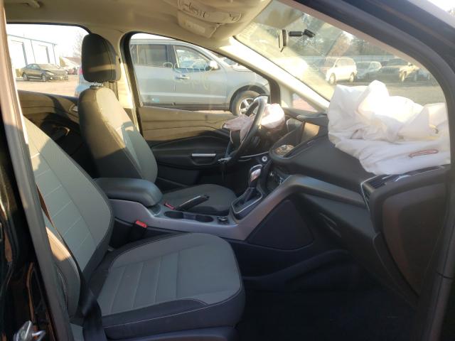 2013 FORD C-MAX SE 1FADP5AU6DL533606