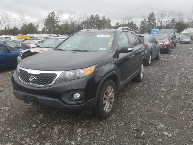 2011 KIA SORENTO 5XYKUDA28BG055362