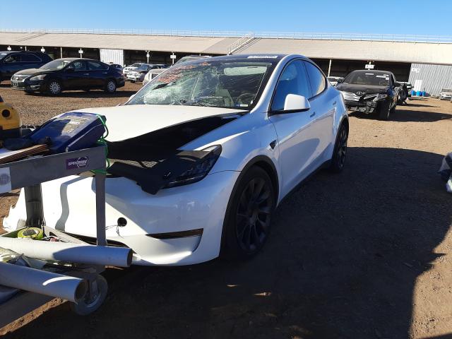 2020 TESLA MODEL Y 5YJYGDEE5LF057441