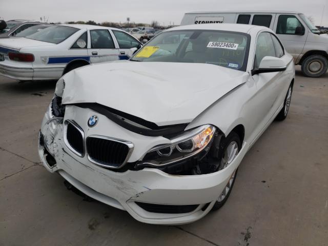 2015 BMW 228 I WBA1F5C50FV257174
