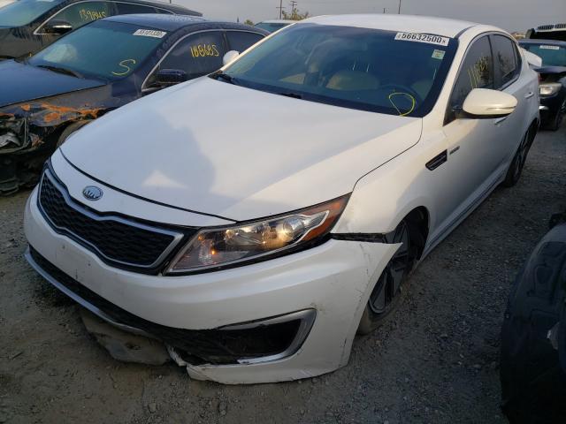 2013 KIA OPTIMA HYB KNAGM4AD2D5038900